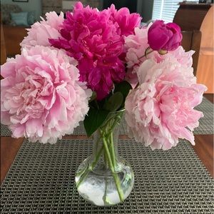 Meet your Posher, Kathleen